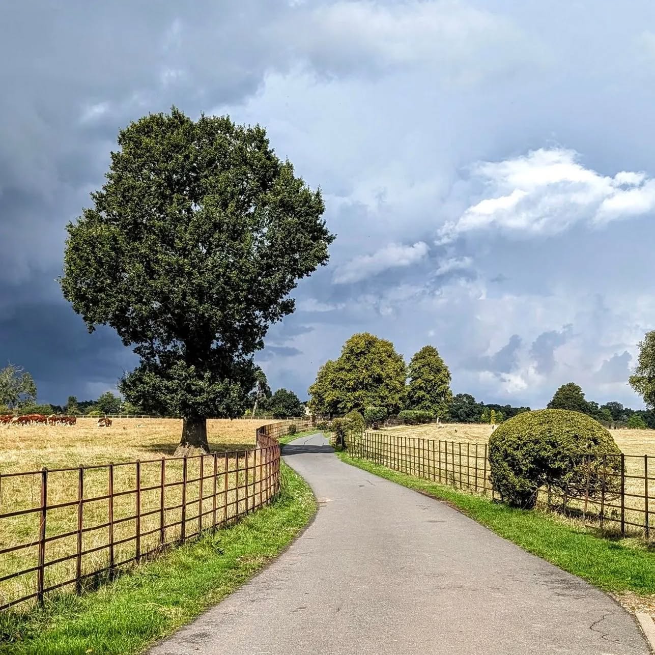 #childwickbury #landscape #landscapeconservationarea