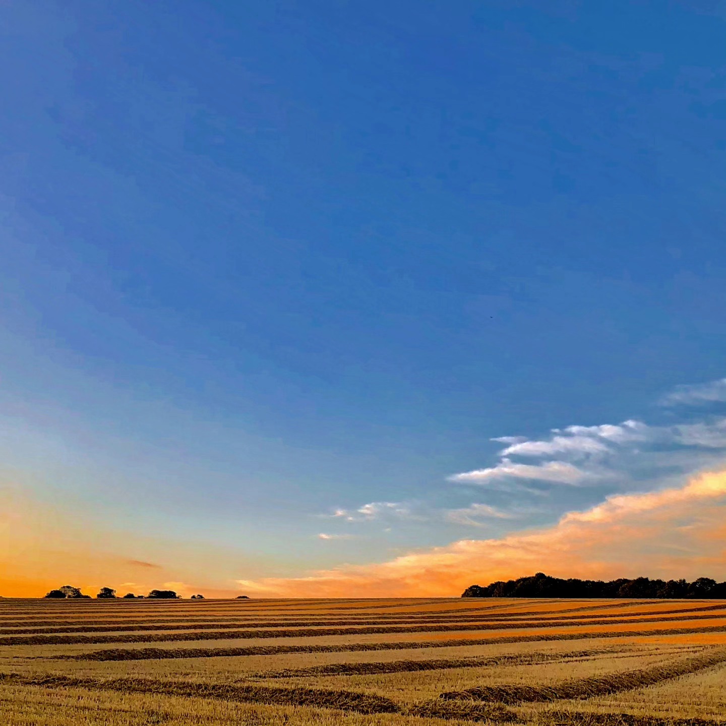 #childwickbury #shaffordmill #harvest #countryside #englishcountryside #hertfordshire