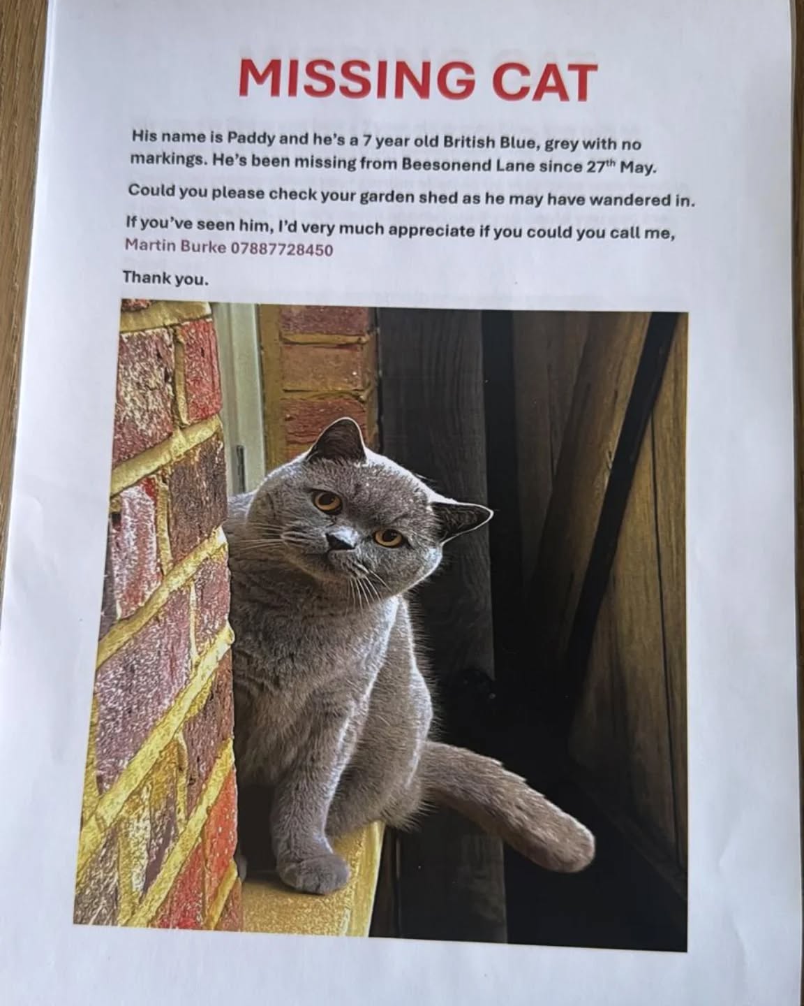 Please keep a look out for Paddy.